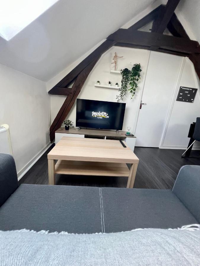 Bel Appartement Lumineux 35M2, Bord De Loire Saint-Jean-le-Blanc المظهر الخارجي الصورة