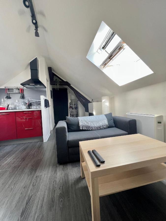 Bel Appartement Lumineux 35M2, Bord De Loire Saint-Jean-le-Blanc المظهر الخارجي الصورة