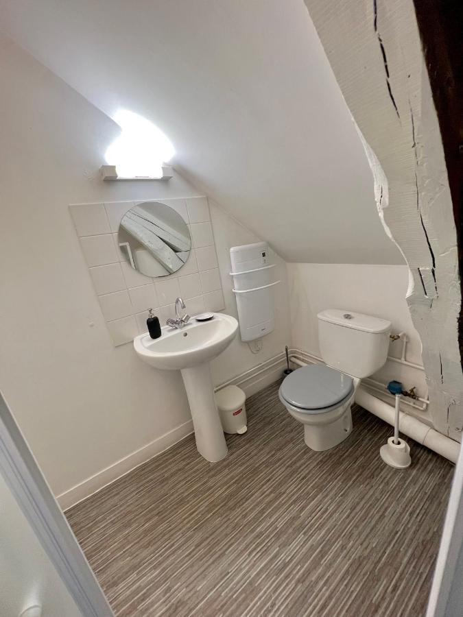 Bel Appartement Lumineux 35M2, Bord De Loire Saint-Jean-le-Blanc المظهر الخارجي الصورة