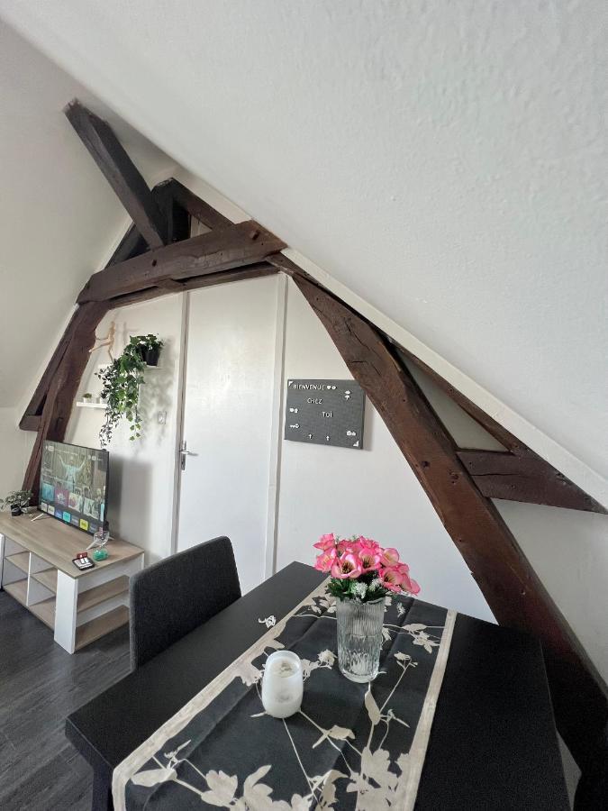 Bel Appartement Lumineux 35M2, Bord De Loire Saint-Jean-le-Blanc المظهر الخارجي الصورة