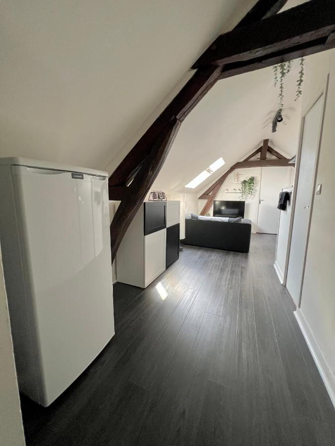 Bel Appartement Lumineux 35M2, Bord De Loire Saint-Jean-le-Blanc المظهر الخارجي الصورة
