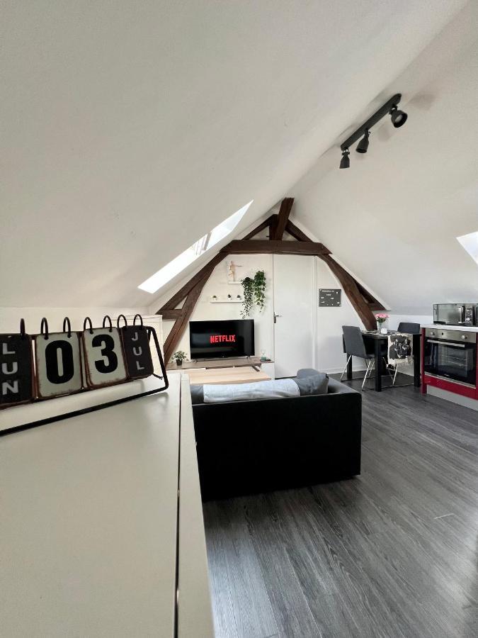 Bel Appartement Lumineux 35M2, Bord De Loire Saint-Jean-le-Blanc المظهر الخارجي الصورة