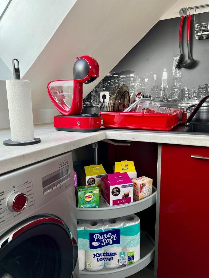 Bel Appartement Lumineux 35M2, Bord De Loire Saint-Jean-le-Blanc المظهر الخارجي الصورة