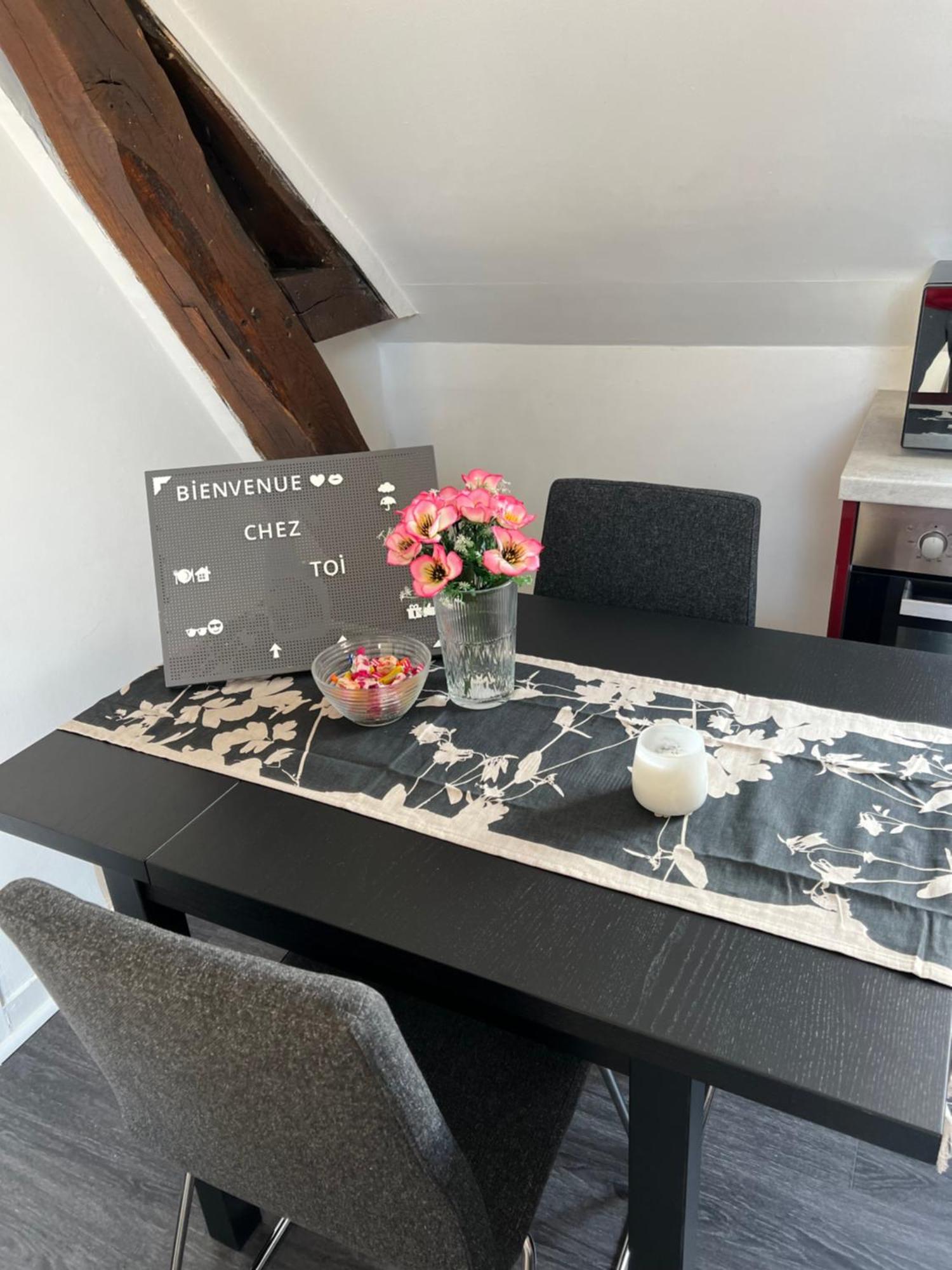 Bel Appartement Lumineux 35M2, Bord De Loire Saint-Jean-le-Blanc المظهر الخارجي الصورة